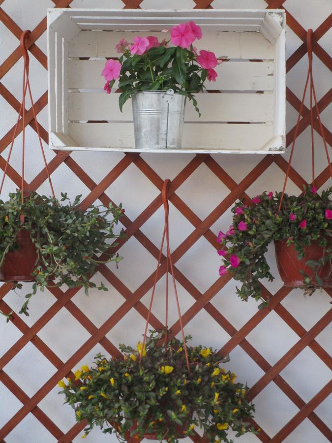 Playa Dei Turchi Bed & Breakfast Realmonte Exterior photo